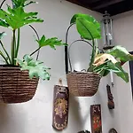 Apartamento Aptos Monasterio De San Antonio 5 Icod De Los Vinos
